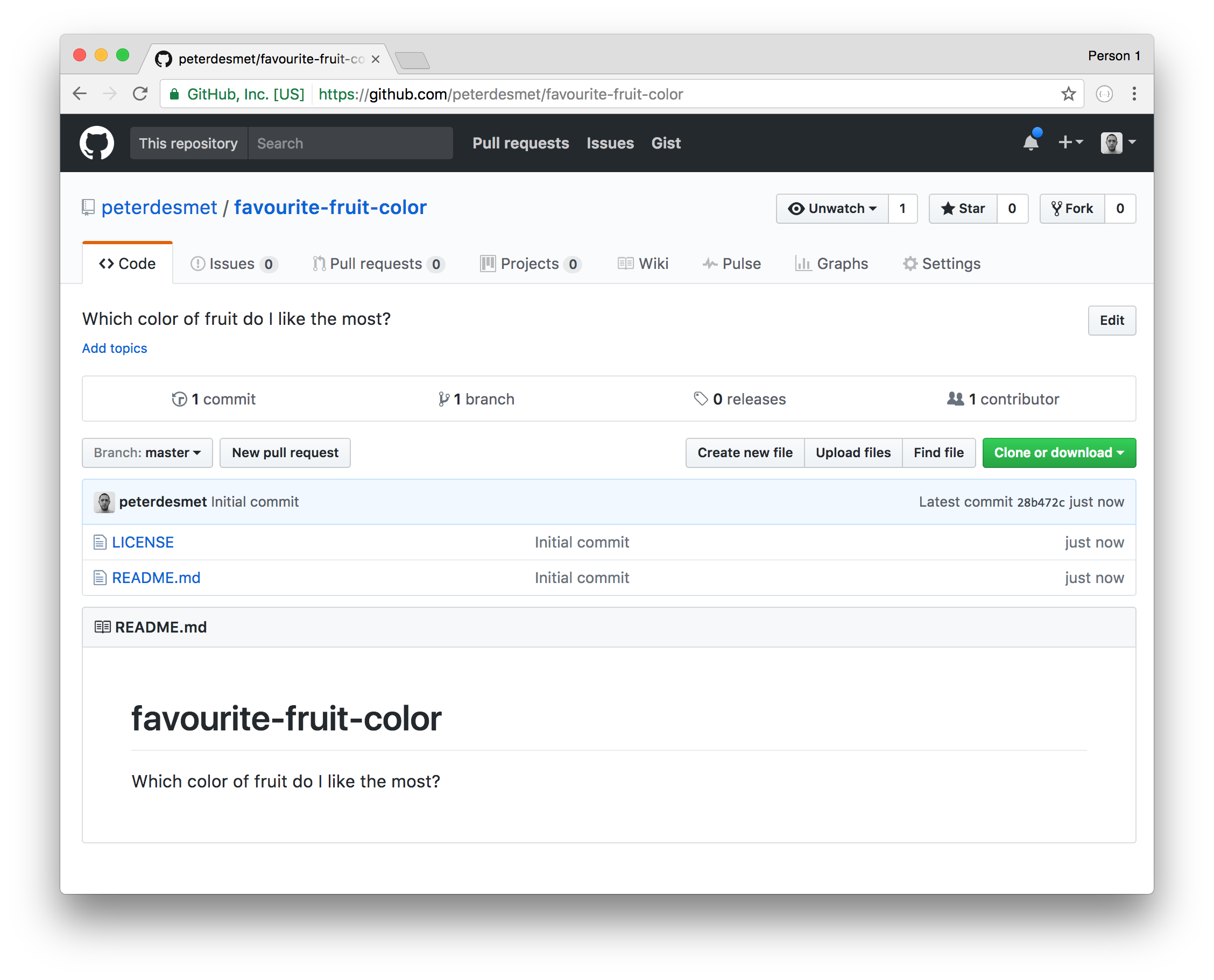 il risulato della creazione di una repo